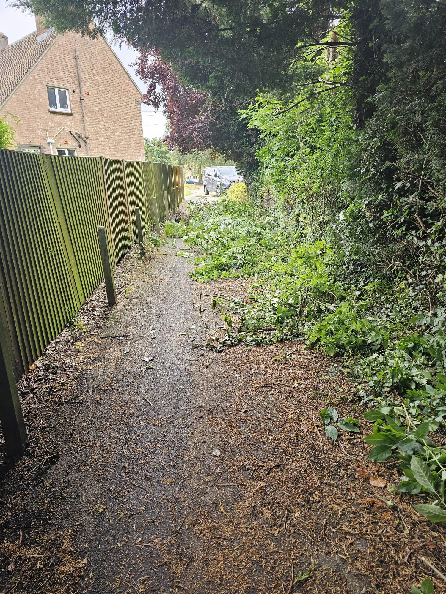 Footpath before